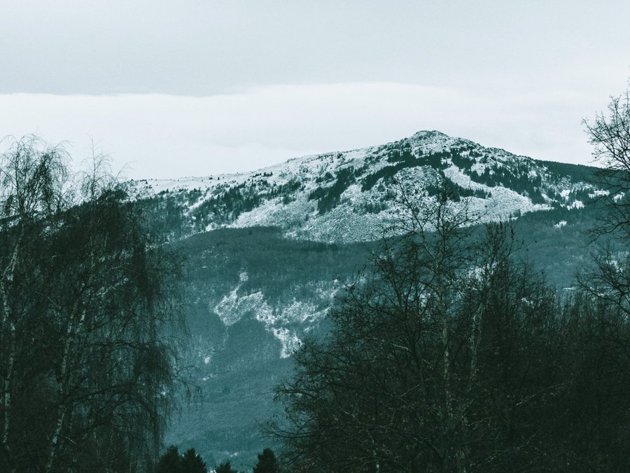 Vitosha, Sofia
