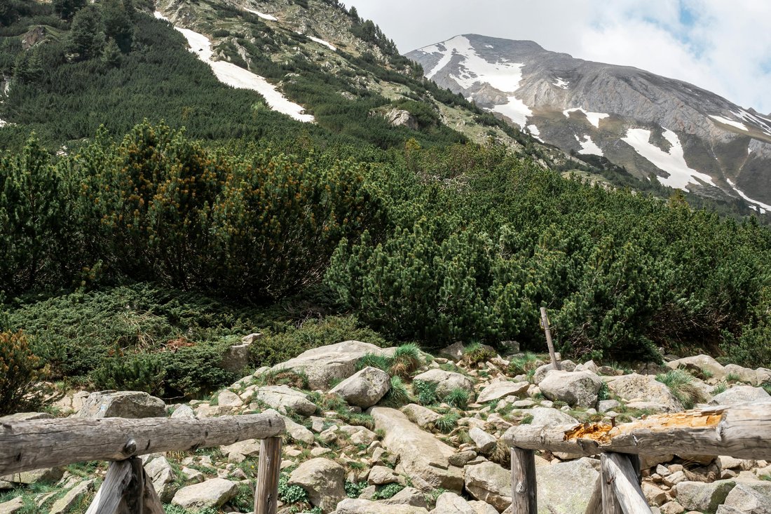 Pirin Mountains National Park, Bulgaria